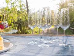 Emma-Britton-Silver Birch Flutes-Champagne-Flute-Hire