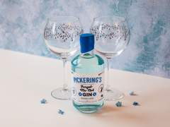 Pickering's Gin and Emma Britton Silver Birch Gin Glasses