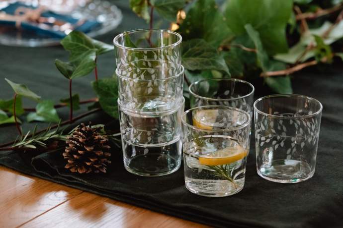 Emma-Britton-Decorative-Glass-Designer-Birch-Patterned-Tumbler-Set