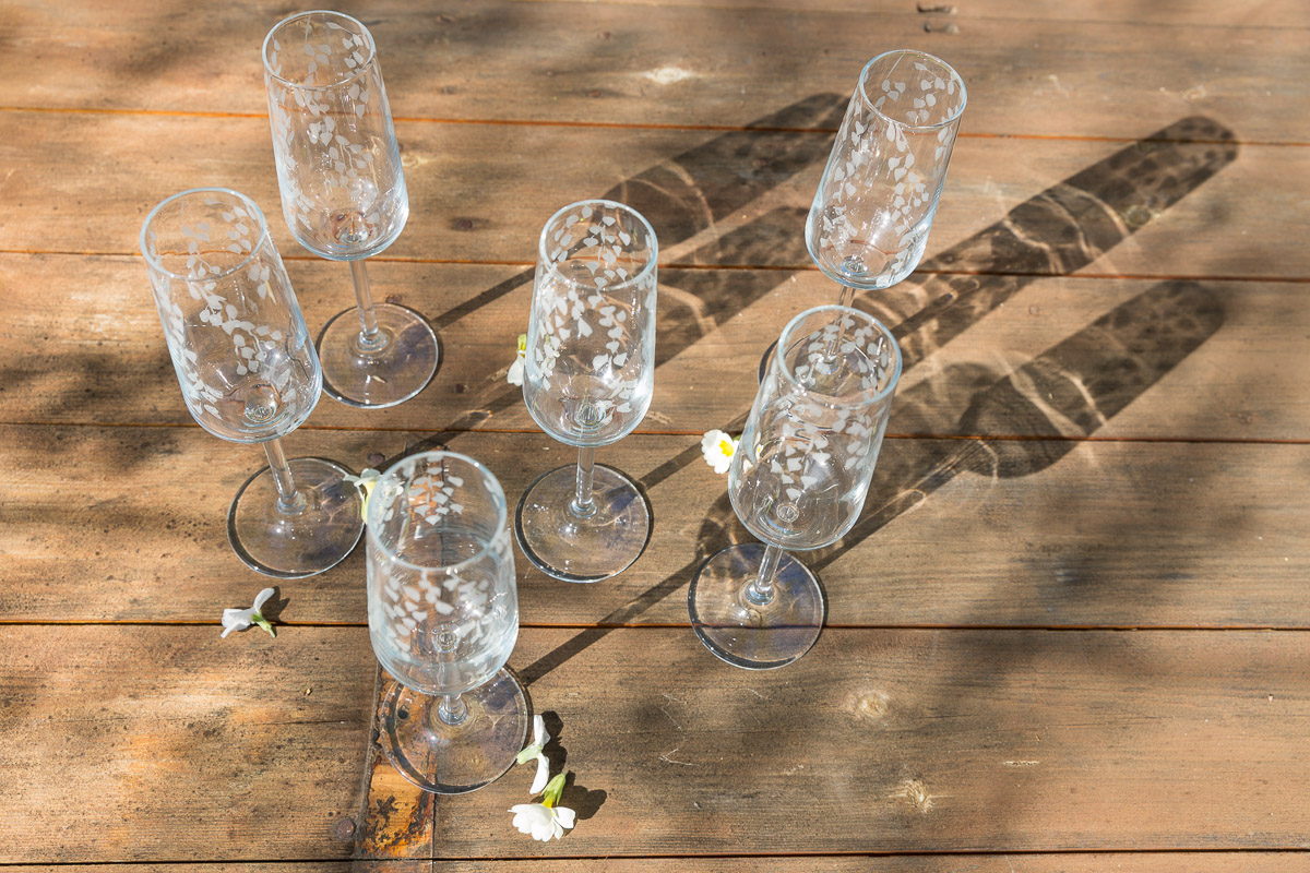 Emma-Britton-Decorative-Glassware-Silver-Wedding-Flutes-Birch-Design