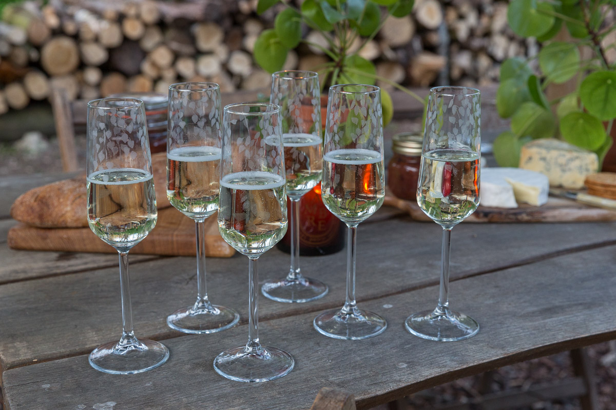 Emma-Britton-Silver-Birch-Champagne-Flutes-Stemware