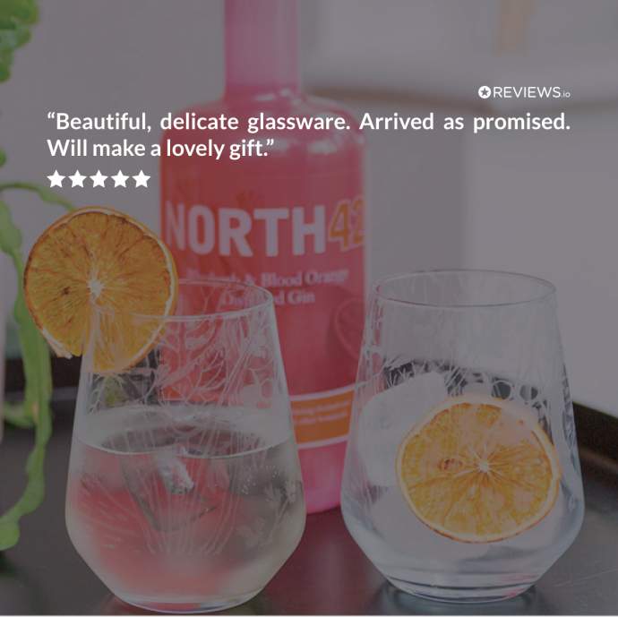 Emma-Britton-Decorative-Glass-Gin-Tumbler-Reviw