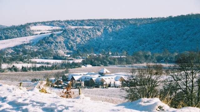 Winter Denbies Wine Estate